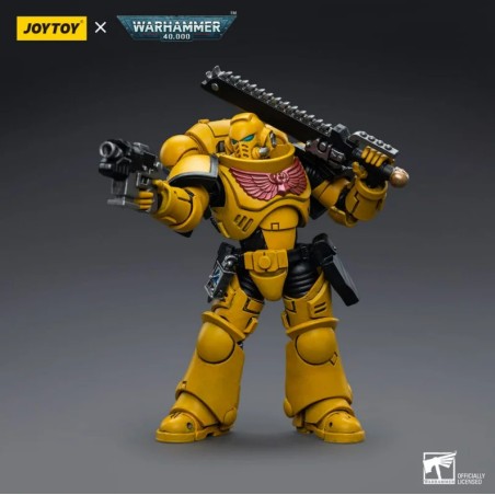 Action Figure: Imperial Fists Intercessors