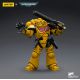 Action Figure: Imperial Fists Intercessors
