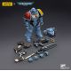 Action Figure: Space Wolves Intercessors