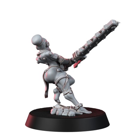 WE: Maiden Sisters Repentium Squad (5U)