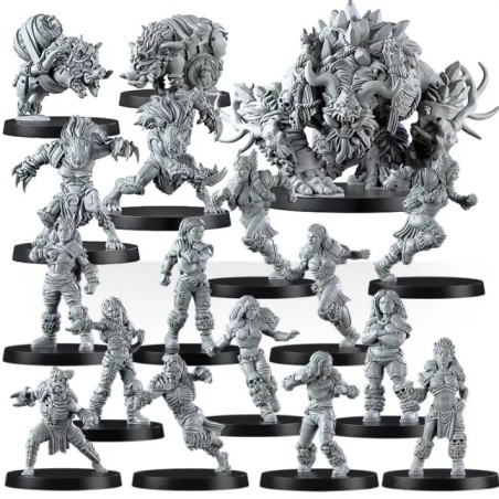 Mountain Alliance Team