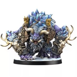 Mountain Alliance Team