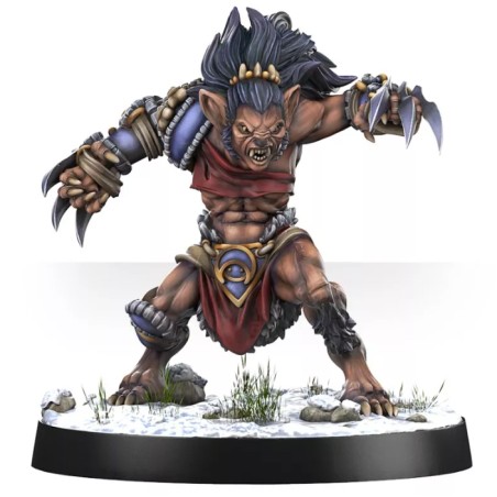 Mountain Alliance Team