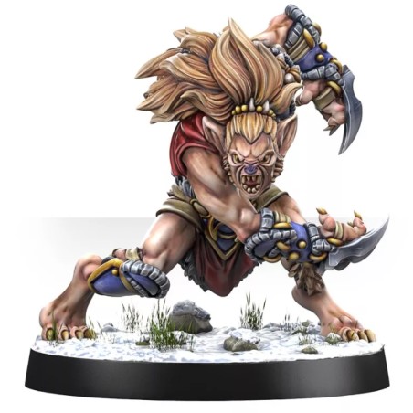 Mountain Alliance Team