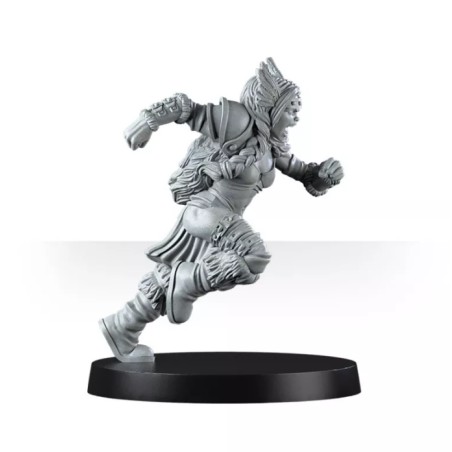 Mountain Alliance Team