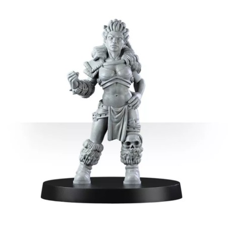 Mountain Alliance Team