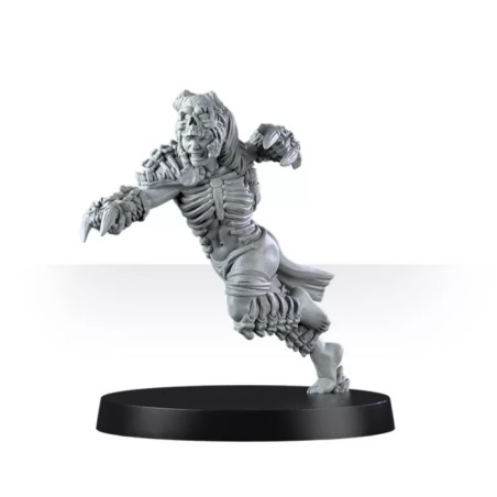 Mountain Alliance Team