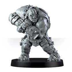 Vicious Wildfire Team