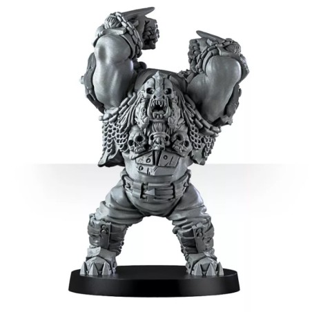 Vicious Wildfire Team