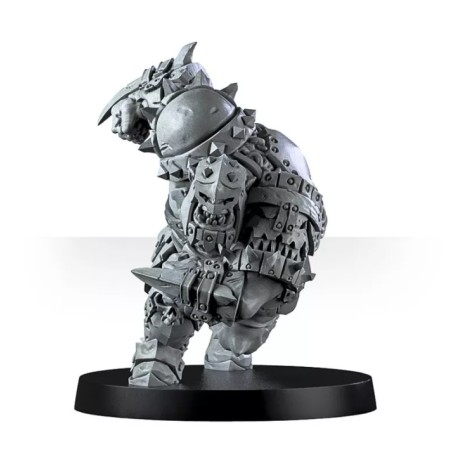 Vicious Wildfire Team