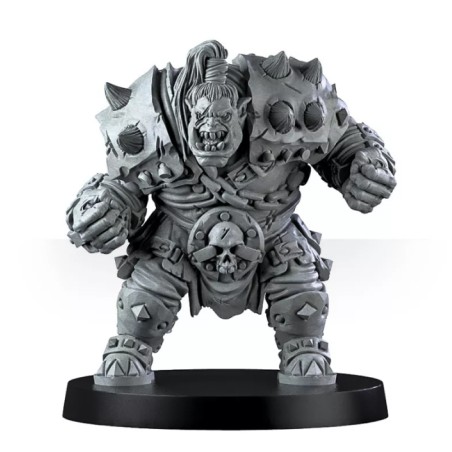 Vicious Wildfire Team