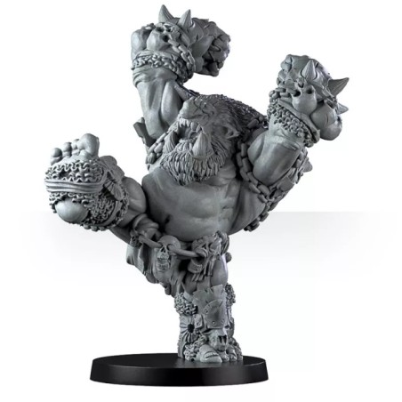 Vicious Wildfire Team