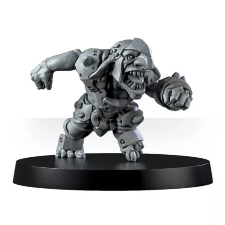 Vicious Wildfire Team