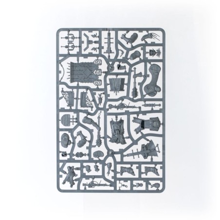 Cities of Sigmar: Battleforce Incursion Fondatrice