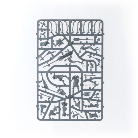 Cities of Sigmar: Battleforce Incursion Fondatrice