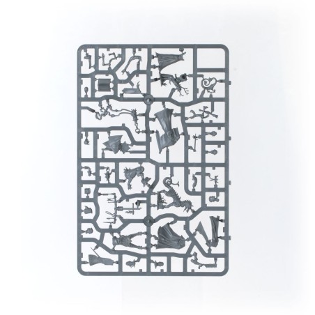 Cities of Sigmar: Battleforce Incursion Fondatrice