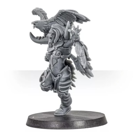 Greebo Bloodbowl: Voxa Eagleclaw