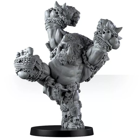 Greebo Bloodbowl: Troll n°1