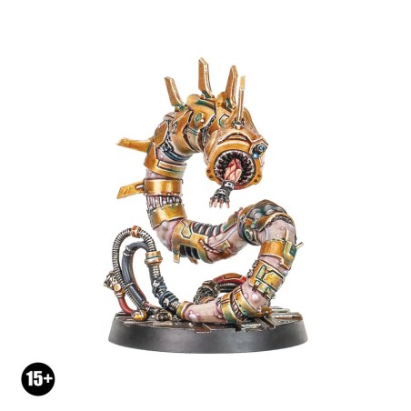 Necromunda Fw: Le Serviteur des Silencieux