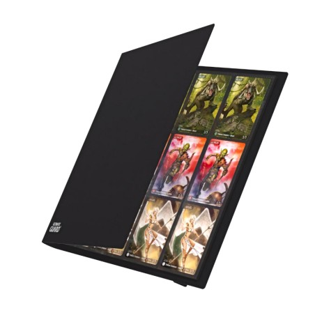 Portfolio: Flexxfolio Noir 480 Cartes (24 Pocket/Page)