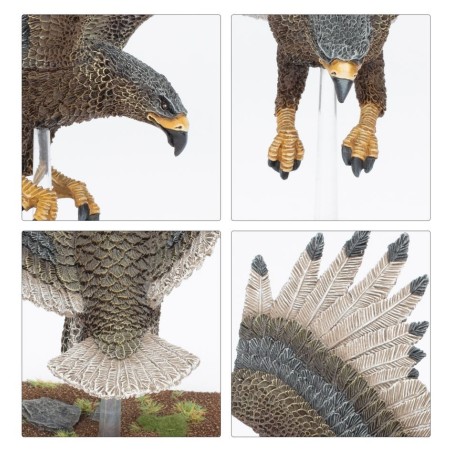 The Old World Hauts Elfes: Great Eagle