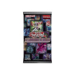 Le Labyrinthe du Maitre: Boite de 24 Boosters