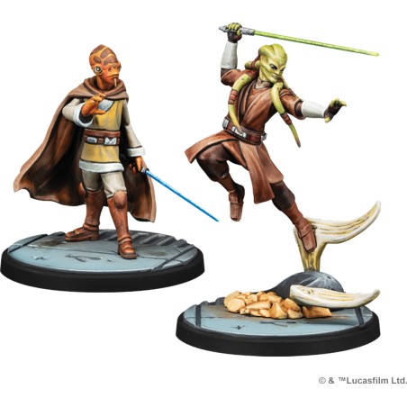 SW Shatterpoint: Nous Demandons Votre Rédition.  (Escouade)