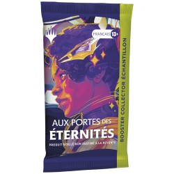 Aux Portes des Eternités: Commander Contre-Intelligence