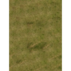 Tapis de jeu: Universel Grass
