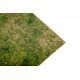 Tapis de jeu: Universel Grass
