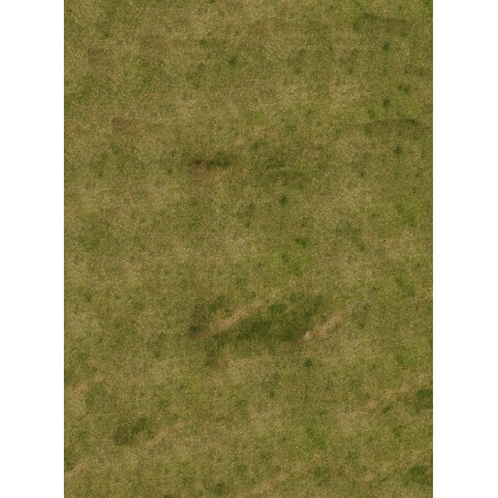 Tapis de jeu: Universel Grass