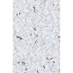 Tapis de Jeu: Tundra / Grassland