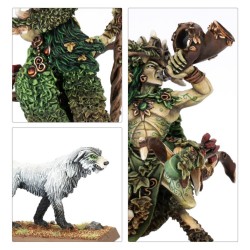 The Old World Elfes Sylvain: Orion, le roi des bois