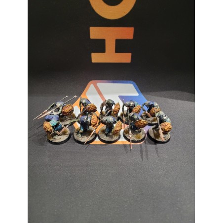 Occasion: 10x Guttripaz