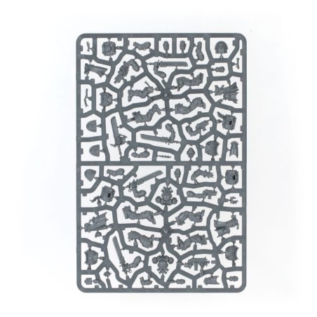 Black-Templars-Patrouille