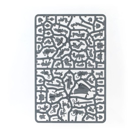 Black-Templars-Patrouille