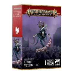Nighthaunt-Seigneur-Vitriolique