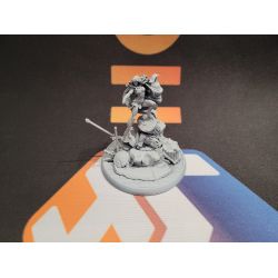 Occasion: a faire (ne pas supprimer)