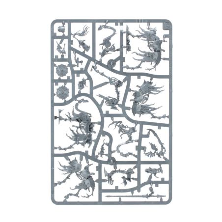 Soulblight Gravelords: Fer de Lance Ost de Tombes de Raclemorts (x36 Figurines)