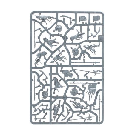 Soulblight Gravelords: Fer de Lance Ost de Tombes de Raclemorts (x36 Figurines)