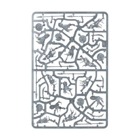 Soulblight Gravelords: Fer de Lance Ost de Tombes de Raclemorts (x36 Figurines)