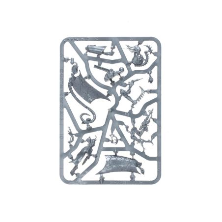 Drukhari: Patrouille (x13 Figurines)