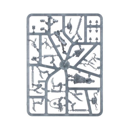 Drukhari: Gorgones (x10)