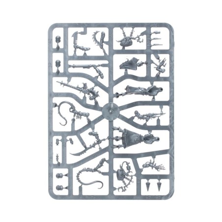 Drukhari: Gorgones (x10)