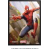 Pochettes-Premium-Art-Spider-Man