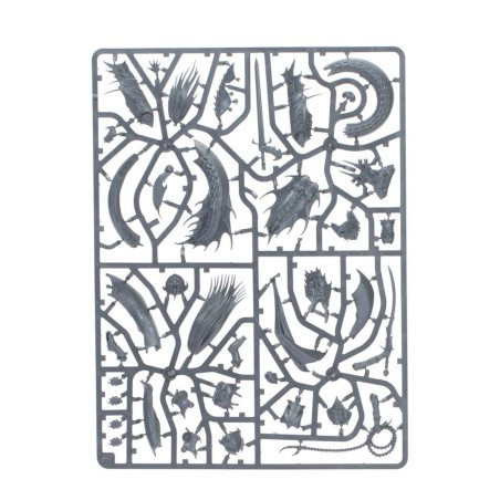 emperor-s-children-battleforce-blissbound-warband