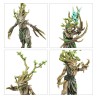 Sylvaneth-battleforce-fielbosquet-de-pariah-x37-figurines