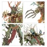 Sylvaneth-battleforce-fielbosquet-de-pariah-x37-figurines