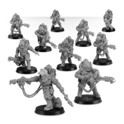 Solar Auxilia Flamer Section