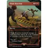 Secret Lair: Uncharted (x5 Cartes)
